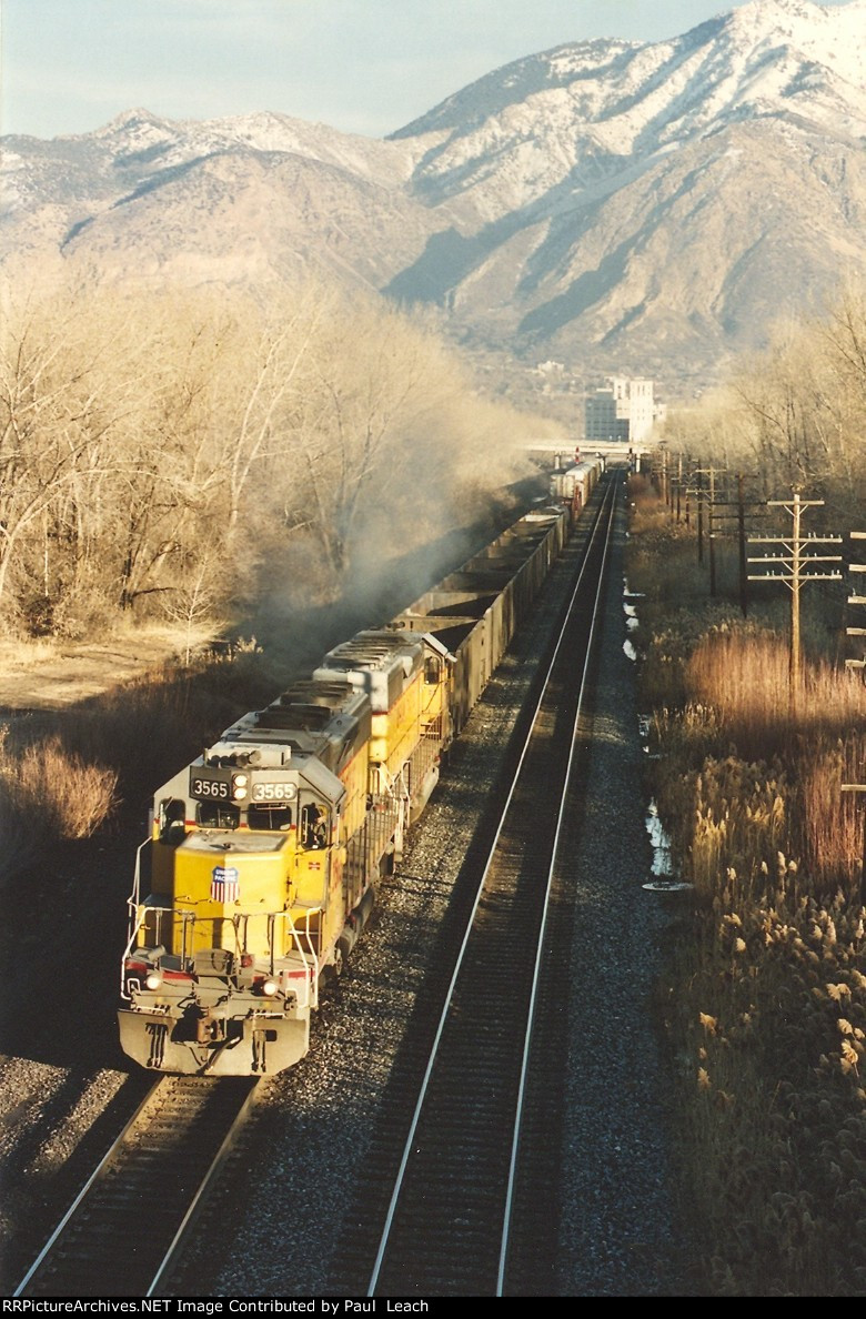 Local races west
